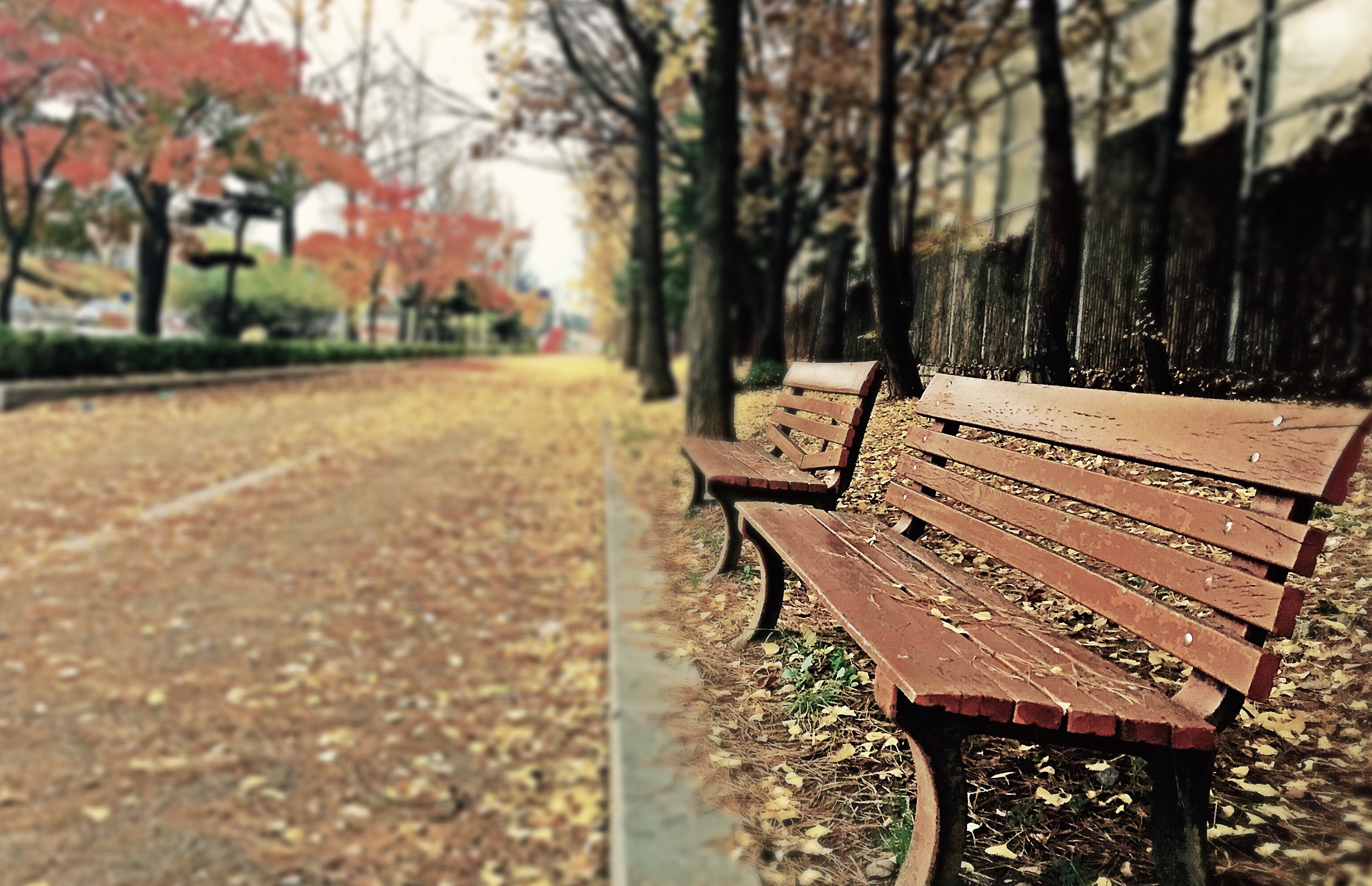 parkbench